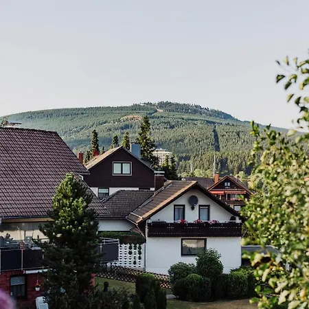 Hexe I - Mit Blick Auf Den Wurmberg *