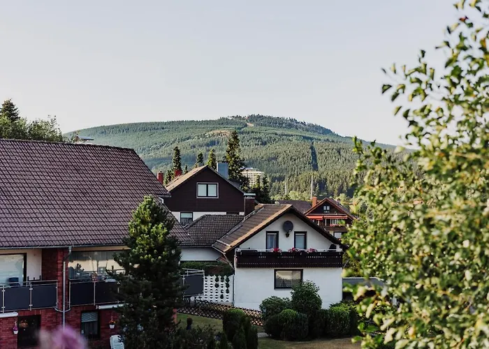 Hexe I - Mit Blick Auf Den Wurmberg *